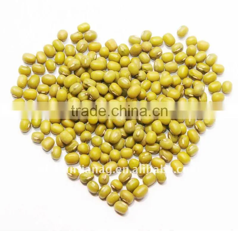 organic green mung bean