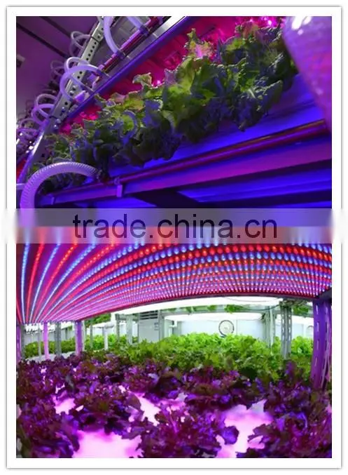 2016 Hot design 15w t8 with fixture high power led grow light indoor grow light