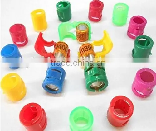 Dutch Netherland Pigeon foot Ring