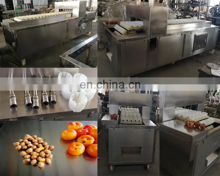 Electric Cherry Olive Palm Prune Date Peach Pitter Machine For Sale