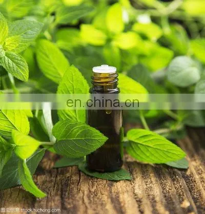 100L - 500L Borneol essential oil essential oil distillation equipment