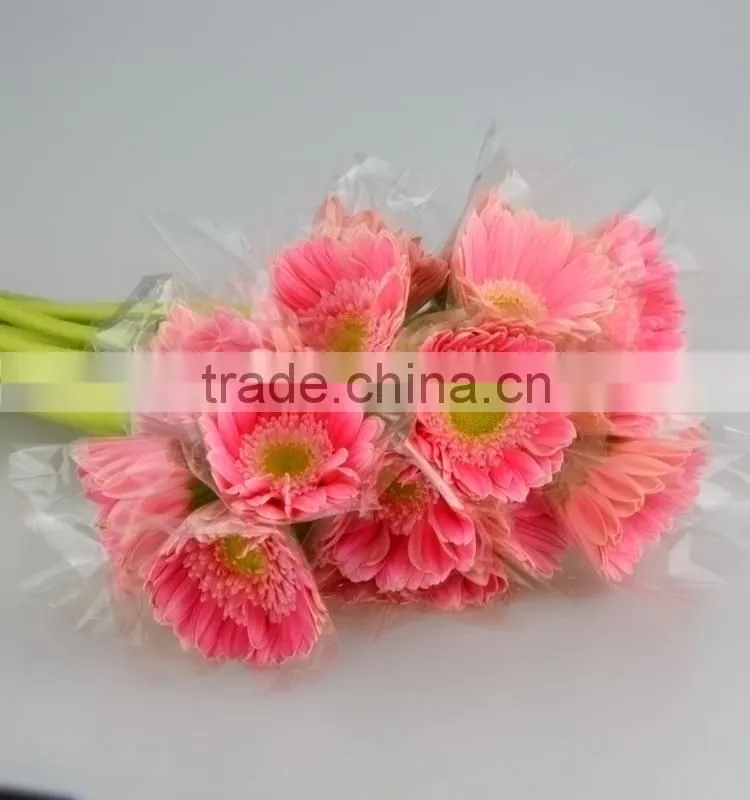 Excellent quality Honey products for 2016 gerbera flower