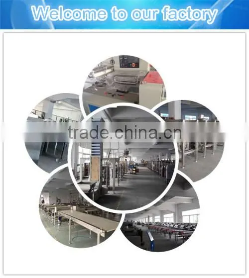 HDL tomato paste sachet packing machine