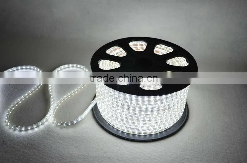 120V/240V 60 Led/m RGB Flexible SMD 5050 LED Strip Light with Flash bulb