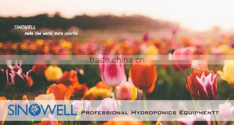 China Honest Manufacturer SINOWELL Hydroponics 1000 watt DE Digital Ballast