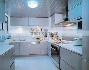 beautiful decorative pvc ceiling panels for Iran