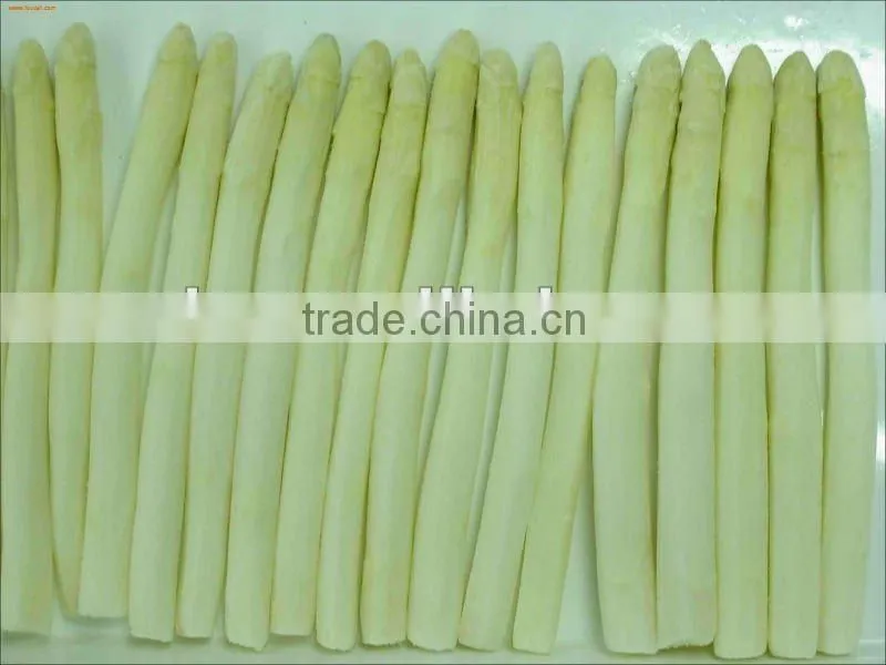 Fresh Organic Canned White Asparagus Cut