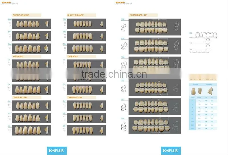 Four layers composite material kaiplus Synthetic polymer teeth SS6L