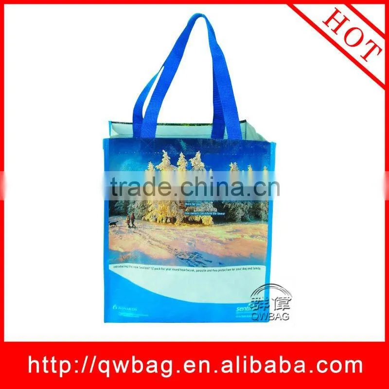 2014 the beautiful water-proof pp woven shopping bag