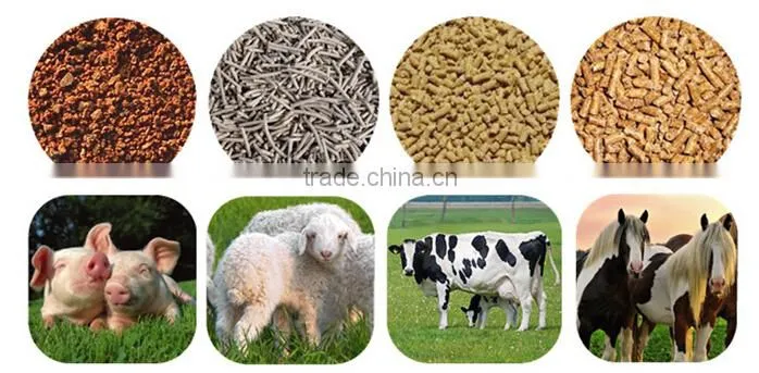 high working efficiency top rank pet bird food extruder with long service life