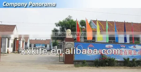 mini Advertising Customized windsocks