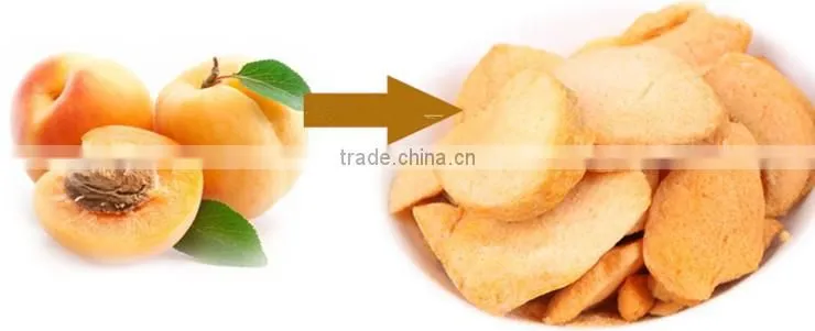 healthy snacks FD apricot FD fruit dried fruits
