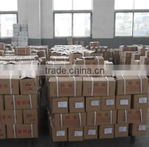 C10 /1010/CC10/1.1121/10/S10C /040A10 Carbon Steel Balls