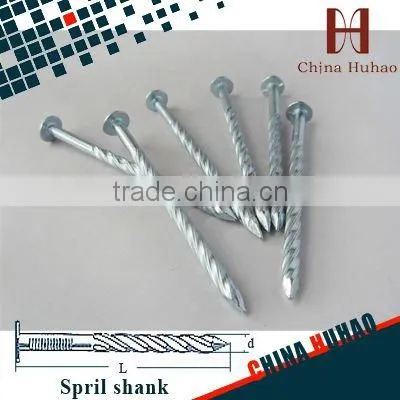 1"--6" polishing flad head iron nail (factory)