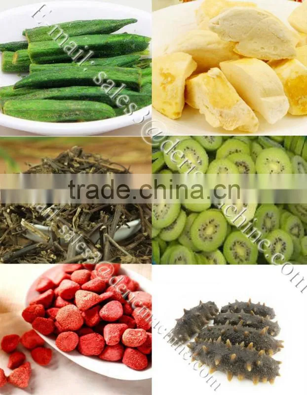 Freeze Dryer/Commercial lyophilizer
