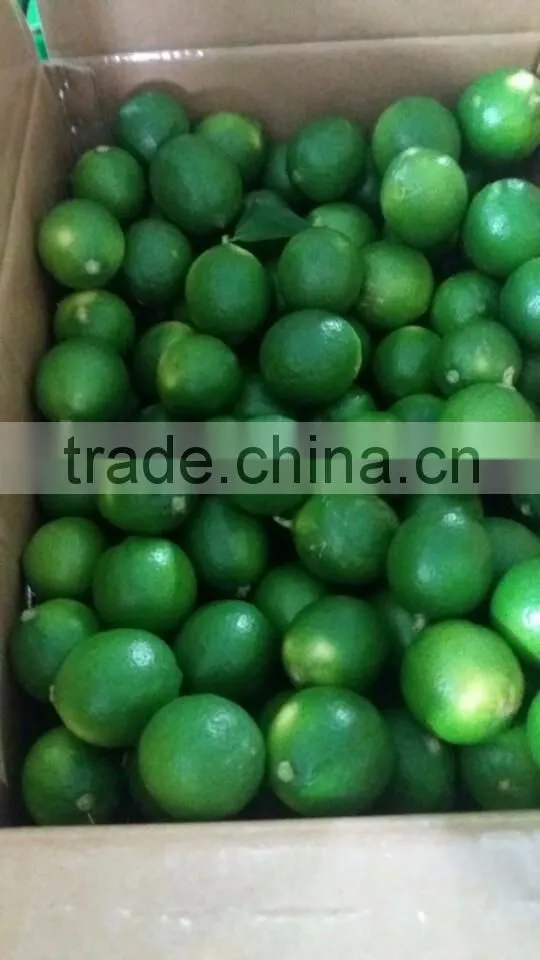 Fresh Lime / Lemon Vietnam