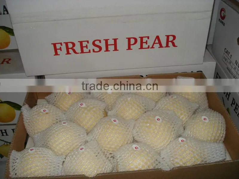 Nice difference specification of crown pear in china
