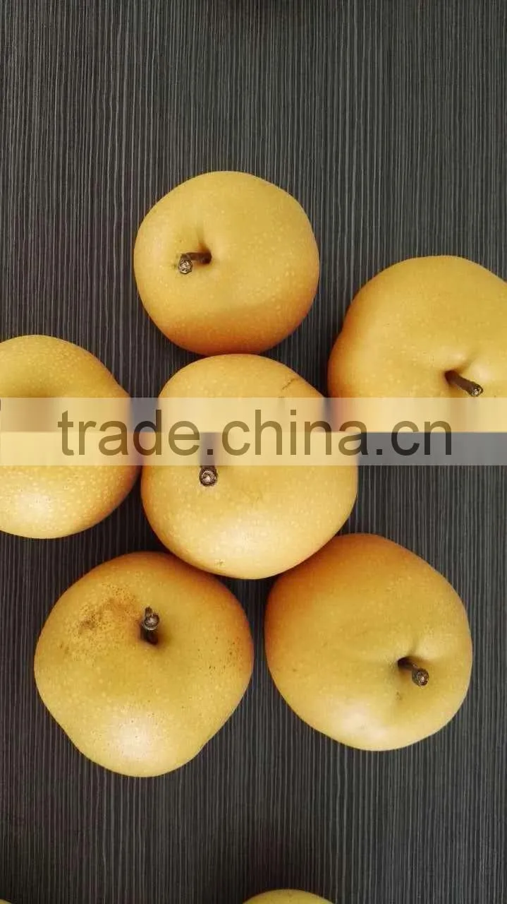 new crop 2016 fresh pear