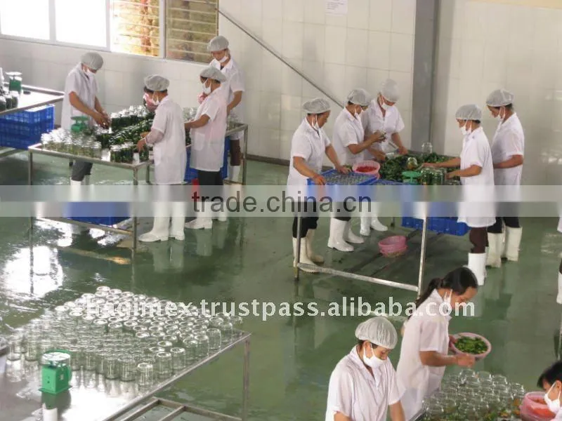 Good quality Vietnam fresh natural pickled cucumbers in jar 6-9cm