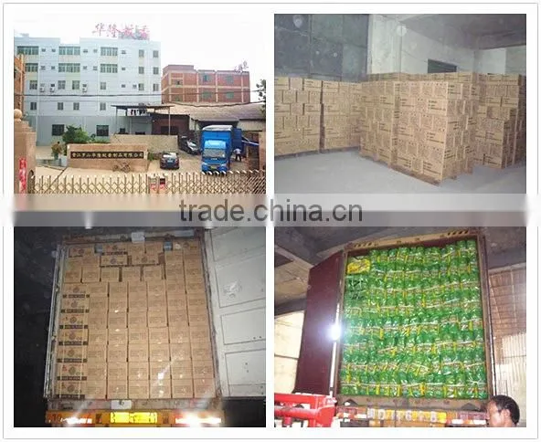 hot sell plant fiber mosquito coil