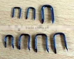 Roofing Nail