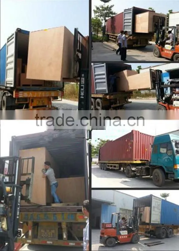 High quality Solid-Ink Coding Machine,Date coding machine