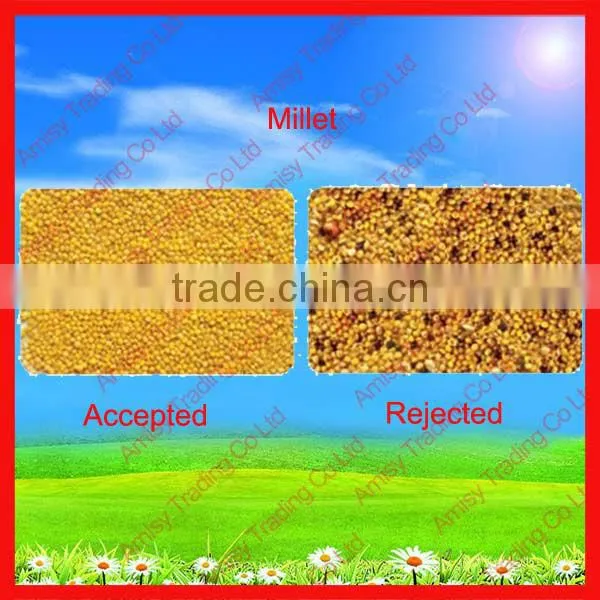 320 Channels Soybean Color Sorting for Sale 0086 371 65866393