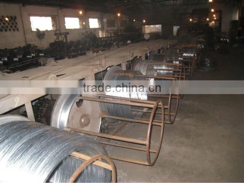 Best price Galvanized Wire