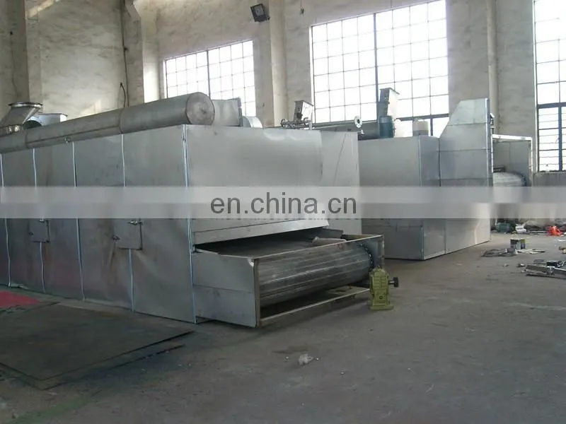 contiunous drying mango chips processing plant