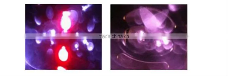 Hot New Products For 2014 Trilipo Cavitation Machine High Quality Vacuum Cavitation Machine