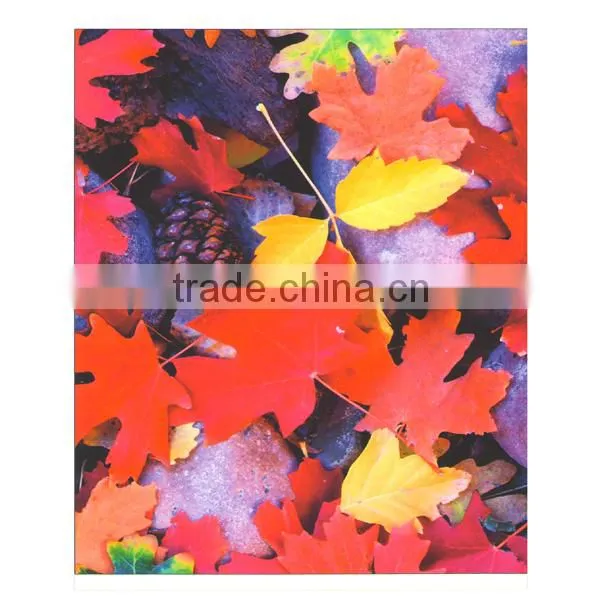 Microporous Glossy Polypropylene 210mic rolls waterproof pp film for pigment,dye ink