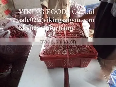 SMALL CHILI HIGH QUALITY FROM VIETNAM