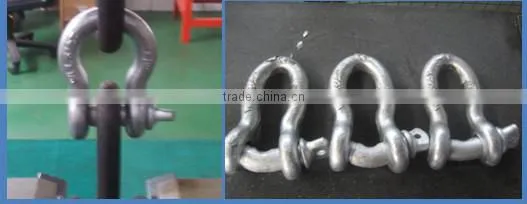 Plate Bow Stainless Steel Shackle