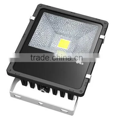 TOP Quality IP65 waterproof COB 50w floodlight with Meanwell PhilipsSMD 50w 30w 20w 10w LED light for Garage