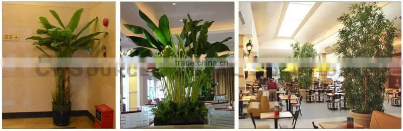 2016 New Artificial Ornamental Bamboo Plant