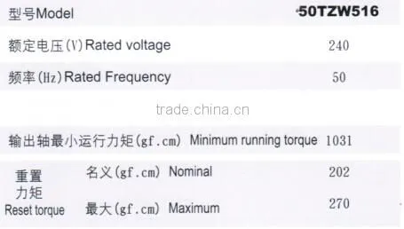 50TZW516 AC Synchronous Motor