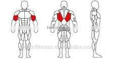 plate loaded/Fitness Equipment /Gym/PULLDOWN