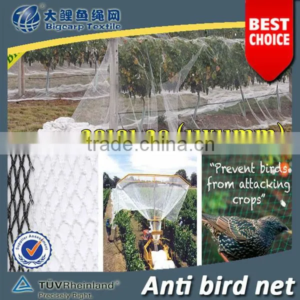 (20 years Shanghai factory) hot selling , New arrival, Horticulture HDPE knotted mesh bird net black colour , 29 GSM / 20101-29