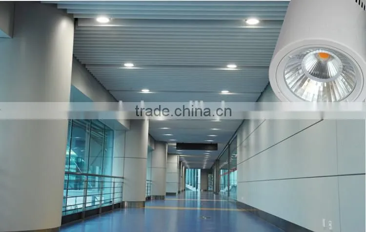 3 years warranty downlight cylinder 25W down light surface mounted