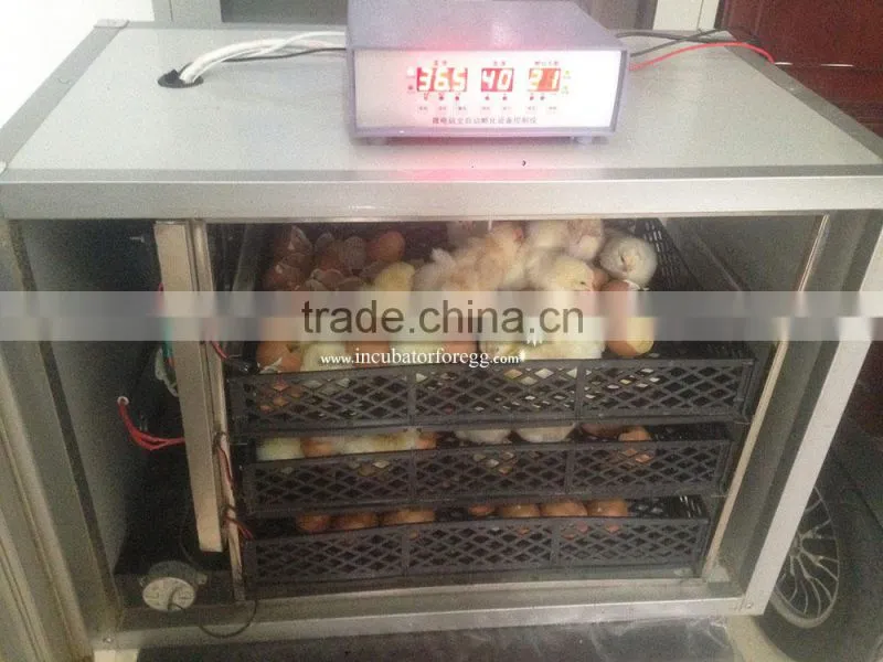 mini egg incubator 100 egg incubator price in tanzania