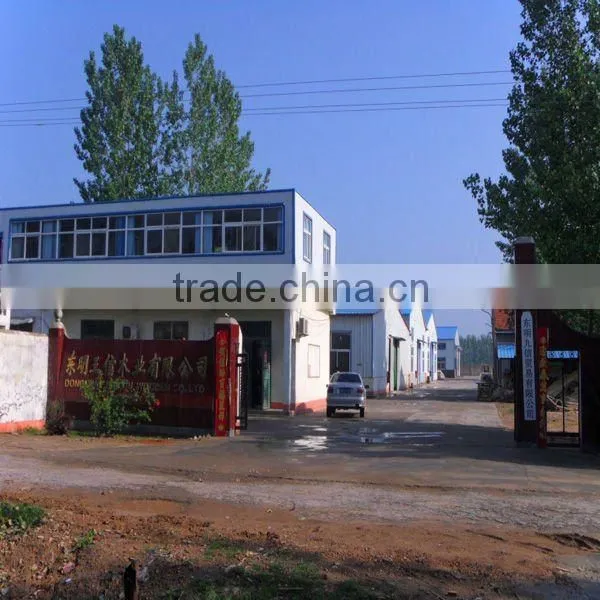 paulownia wood&timber sawmill