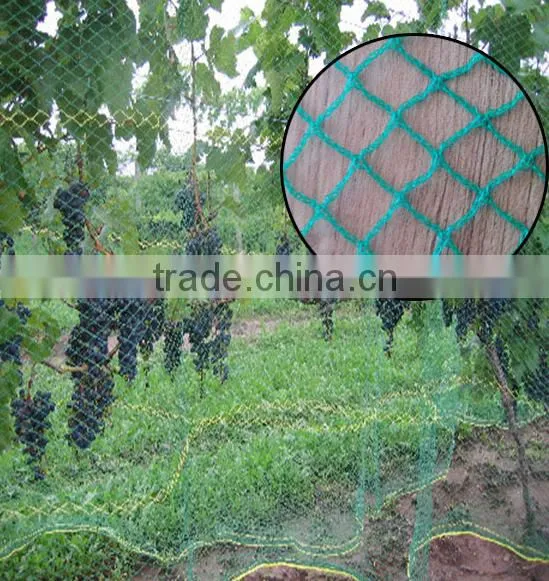 HDPE knotted mesh bird netting