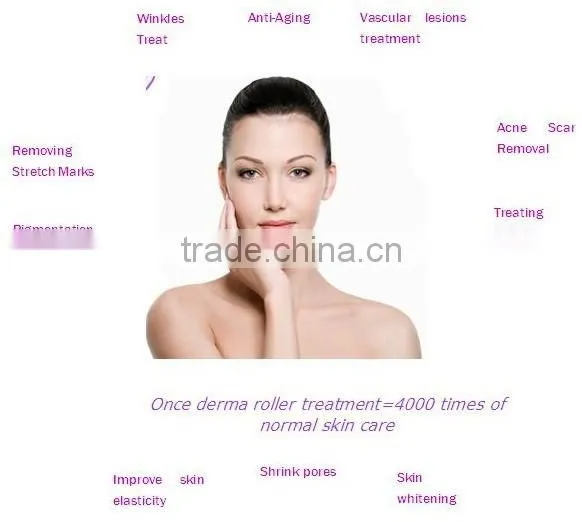 New dermaroller 600 Microneedle Derma Roller 1.0 mm