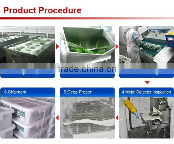 frozen seaweed salad producer