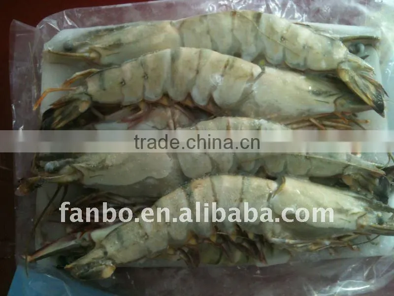 Black tiger shrimp(new coming )