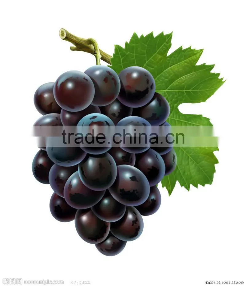 wholesale cosmetic evening pirmrose oil with GLA 9% in bulk