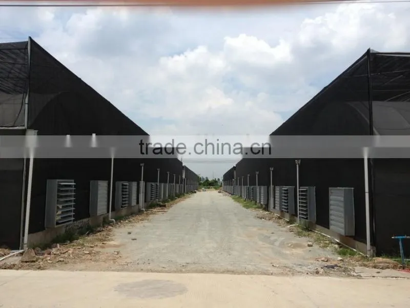 50 inch Hammer Fan,Poultry Exhuast Fan,workshop exhaust fan in tuhe
