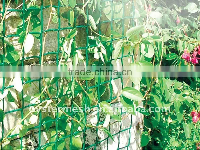 Climbing Plant Support