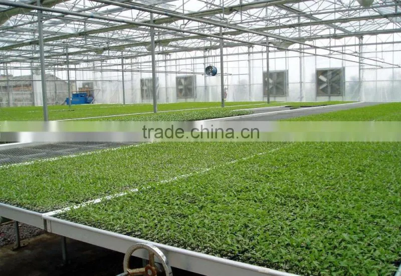 Green Houses For Hydroponic