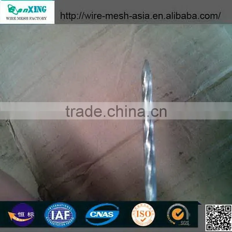 Sanxing common nail one of biggest manufacturer in Anping